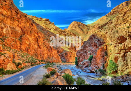 Todgha Gorge, a canyon in the Atlas Mountains. Morocco Stock Photo