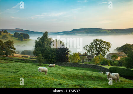 Sheep grazing near Offerton Hall above the mist in the Derwent Valley below, Derbyshire Peaks District, England, UK Stock Photo