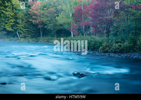 Autumn colours, Oxtongue Rapids, Muskoka, Ontario, Canada Stock Photo