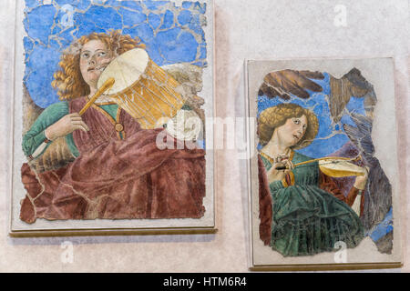 Vatican pinacoteca, Melozzo da Forlì(Forlì 1438-1494), An angel playing the lute 1480,Vatican museum, Vatican city, Rome, Italy. Stock Photo