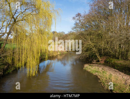 Scenic view of the River Otter in Spring showing the early green leaves of a Weeping Willow tree hanging over the water at Otterton, East Devon, UK Stock Photo