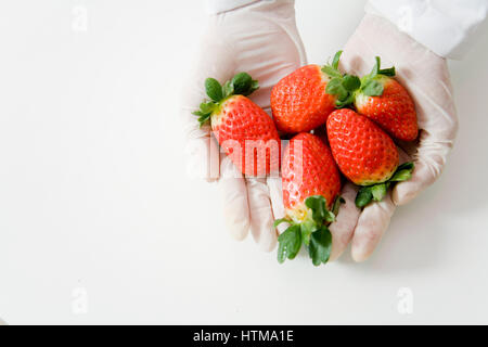 strawberries in a laboratory Stock Photo