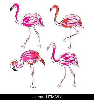 Hand drawn sketch pink flamingo vector set. Stock Vector