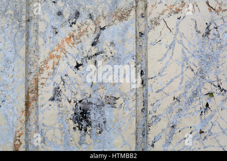 Marks made by vines on a concrete wall Stock Photo