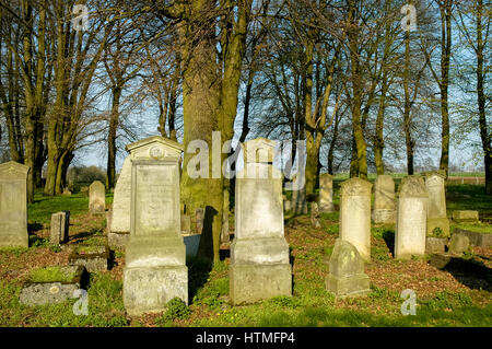 mennonites graveyard in heubuden the area of Gdansk, Poland Stock Photo