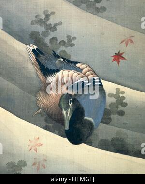 Duck Swimming in Water', 1847. Ink and colours on silk. Katsushika Hokusai (1770-1849) Japanese artist and printmaker. Stock Photo