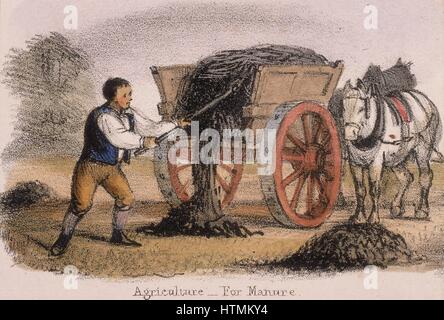 The manure cart. From 'Graphic Illustrations of Animals and Their Utility to Man', c1850 Stock Photo