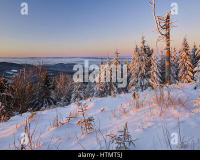 Sunset on the Inselsberg, Thuringian Forest, Thuringia, Germany Stock Photo