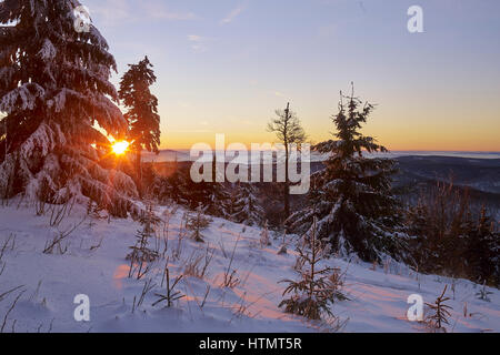 Sunset on the Inselsberg, Thuringian Forest, Thuringia, Germany Stock Photo