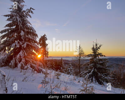 Sunset on the Inselsberg, Thuringian Forest, Thuringia, Germany Stock Photo