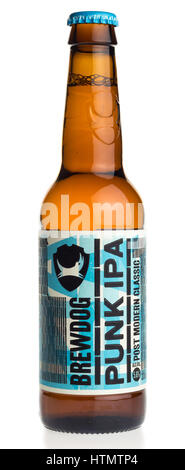 Bottle of Scottish Brewdog Punk IPA beer isolated on a white background