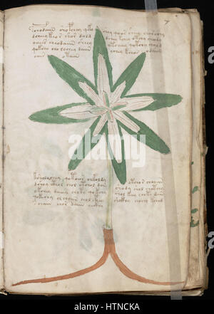 The Voynich Manuscript is a mysterious and undeciphered text, dating ...