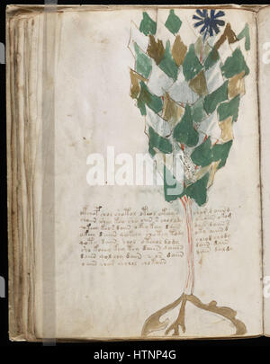 The Voynich Manuscript is a mysterious and undeciphered manuscript ...