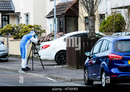 Carrickfergus, Northern Ireland. 13/03/2017 - A man in his 40s has been critically shot while driving his white Vauxhall Insignia car in the Woodburn Estate of Carrickfergus.  He is believed to be George 'Geordie' Gilmore, a UDA leader who has been involved in a long-running feud. Stock Photo