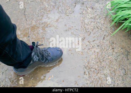 Leg and foot wearing hiking boots stepping in a puddle of water Stock Photo