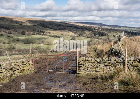 Metal farm gate on a track leading from Arkleside, with a view of Coverdale, Yorkshire Dales. Penhill is in the background. Stock Photo