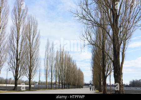 Dachau, concentration camp: camp road, view to former maintenance building (today exhibition), prisoner  barracks that are indicated by concrete found Stock Photo