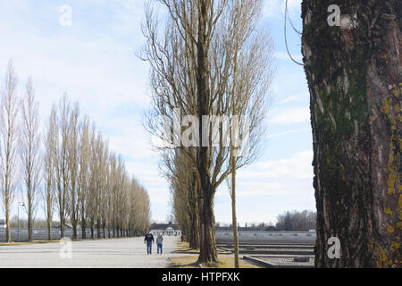 Dachau, concentration camp: camp road, view to former maintenance building (today exhibition), prisoner  barracks that are indicated by concrete found Stock Photo