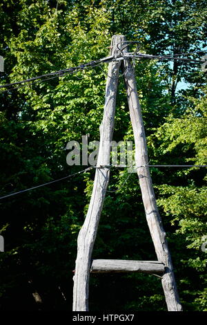 An old wooden telegraph pole made from a couple of trees carrying power & phone cables and surrounded by tree branches Stock Photo
