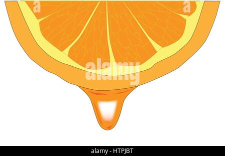 A drop of orange juice dripping from an orange slice. Stock Vector