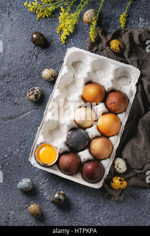 Brown and gray colored chicken and quail Easter eggs in paper box with yolk, yellow flowers, sackcloth rag over black concrete texture background. Top Stock Photo