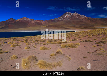 Miniques and Miscanti Lagoons in the Antofagasta Region, North Chile Stock Photo