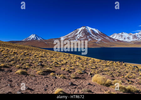 Miniques and Miscanti Lagoons in the Antofagasta Region, North Chile Stock Photo