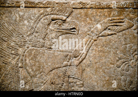 Assyrian relief sculpture panel  of an eagle headed protective spirit  from Nimrud, Iraq.  The spirit is holding a symbolic fir cone and is sprinkling Stock Photo