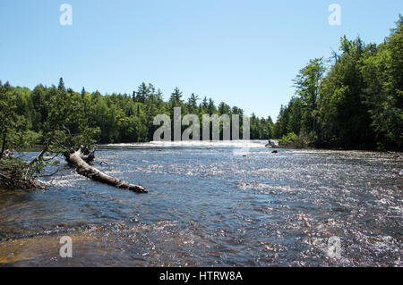 Tahquamenon Falls, Michigan Stock Photo