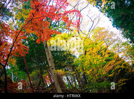 nikko a small town to the north of Tokyo, in Tochigi Prefecture Stock Photo