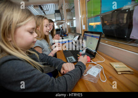 Children use computers in their teaching, Sweden. Stock Photo