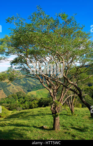 Landscape in Cordillera de Tilaran in Costa Rica Stock Photo