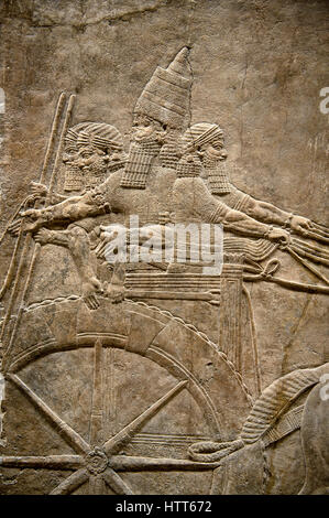 Assyrian relief sculpture panel of Ashurnasirpal on his chariot at the begining of a lion hunt.  From Nineveh  North Palace, Iraq,  668-627 B.C.  Brit Stock Photo