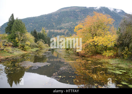 An autumn view of the Miami River near its mouth at Harrison Lake, in the town of Harrison Hot Springs, British Columbia, Canada. Stock Photo