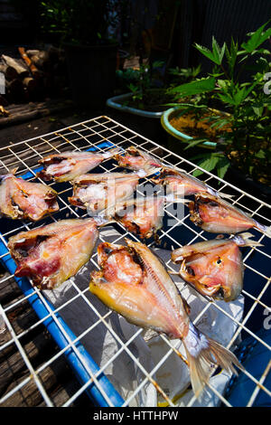 Fish in Koh Panyee or Ko Panyi fishing village. Stock Photo