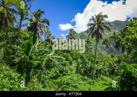 Moorea island jungle and mountains landscape view. French Polynesia Stock Photo