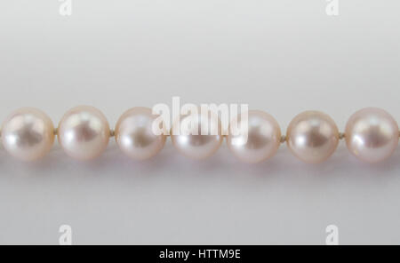 Pale pink real pearl necklace close up on white background Stock Photo