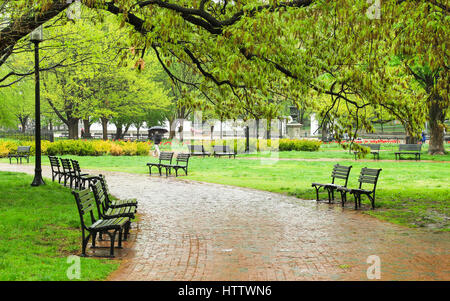 Empty benches in the green park on a rainy day Stock Photo