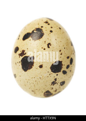 Single egg isolated on white Stock Photo