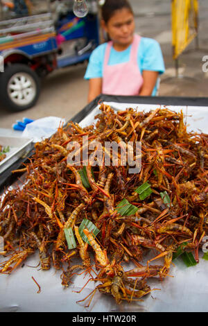 Insect for eat in a street stall. Stock Photo