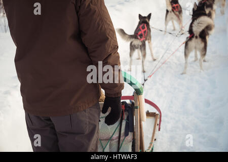 Man on a sleigh ride with Siberian husky Stock Photo