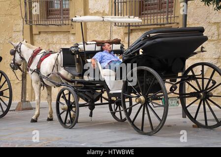 Horse carriages in the vicinity of the Mosque of Cordoba waiting for customers Stock Photo