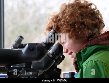 Child looking through test spotting scope at bird watching centre in interest. Stock Photo