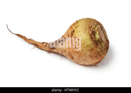 Moroccan fresh raw swede on white background Stock Photo