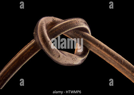 Extreme magnification - Human hair at 20x magnification Stock Photo