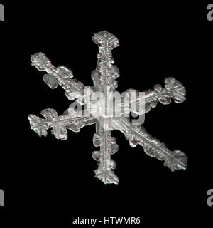 Extreme magnification - Real snowflake on black background Stock Photo