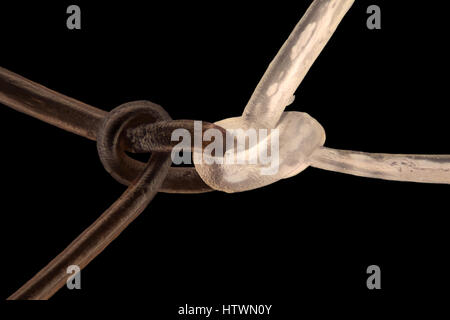 Extreme magnification - Human hair at 20x magnification Stock Photo