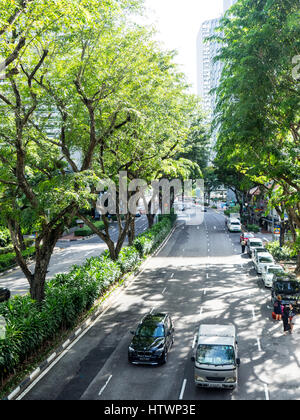 Tree lined dual carriageway Beach Road Singapore. Stock Photo