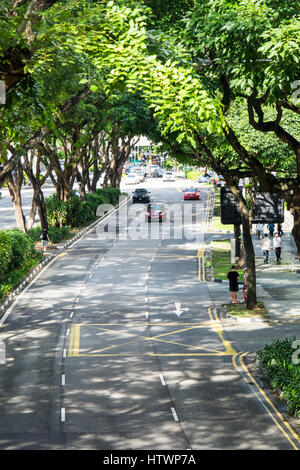 Tree lined dual carriageway Beach Road Singapore. Stock Photo