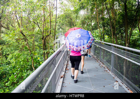 Tourists and local Singaporeans walking the Forest Walkway, an elevated walkway in Kent Ridge Park as part of the Southern Ridges Walk, Singapore. Stock Photo